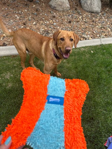 Our favorite pet toy brand! We just stocked up on some new ones! We get all of our pet stuff on @walmart #walmartpartner