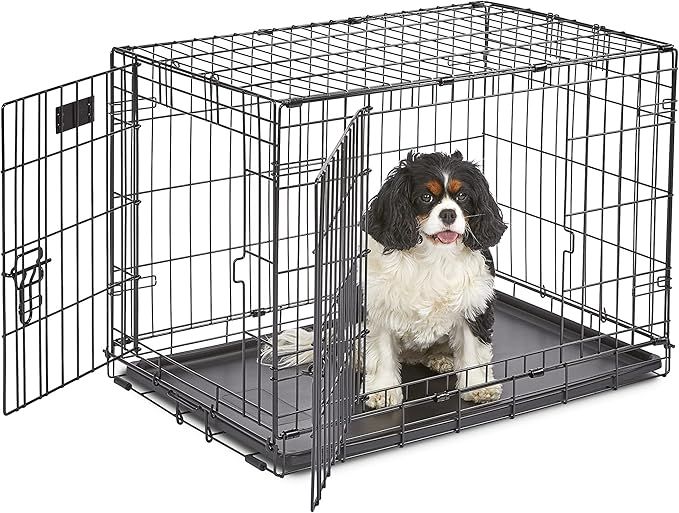 MidWest Homes for Pets Newly Enhanced Single & Double Door iCrate Dog Crate, Includes Leak-Proof ... | Amazon (US)