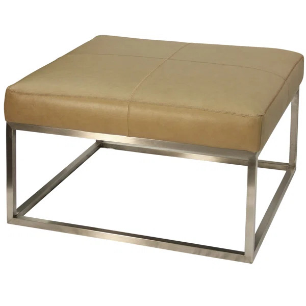 Amy Leather Cocktail Ottoman | Wayfair North America