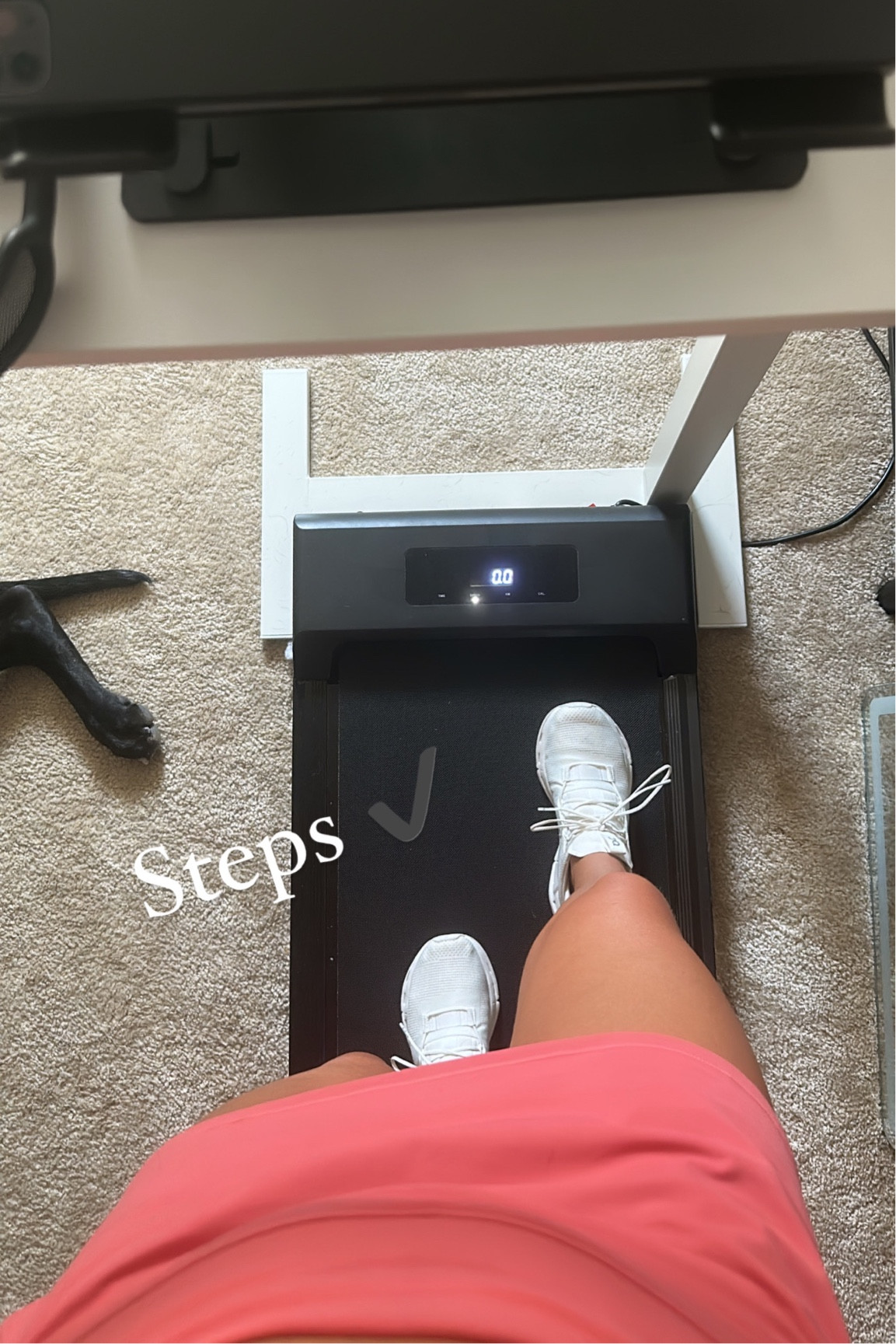 Love this walking pad & table! Such a great way to get my steps in while I’m working 

#LTKU #LTKFitness #LTKActive