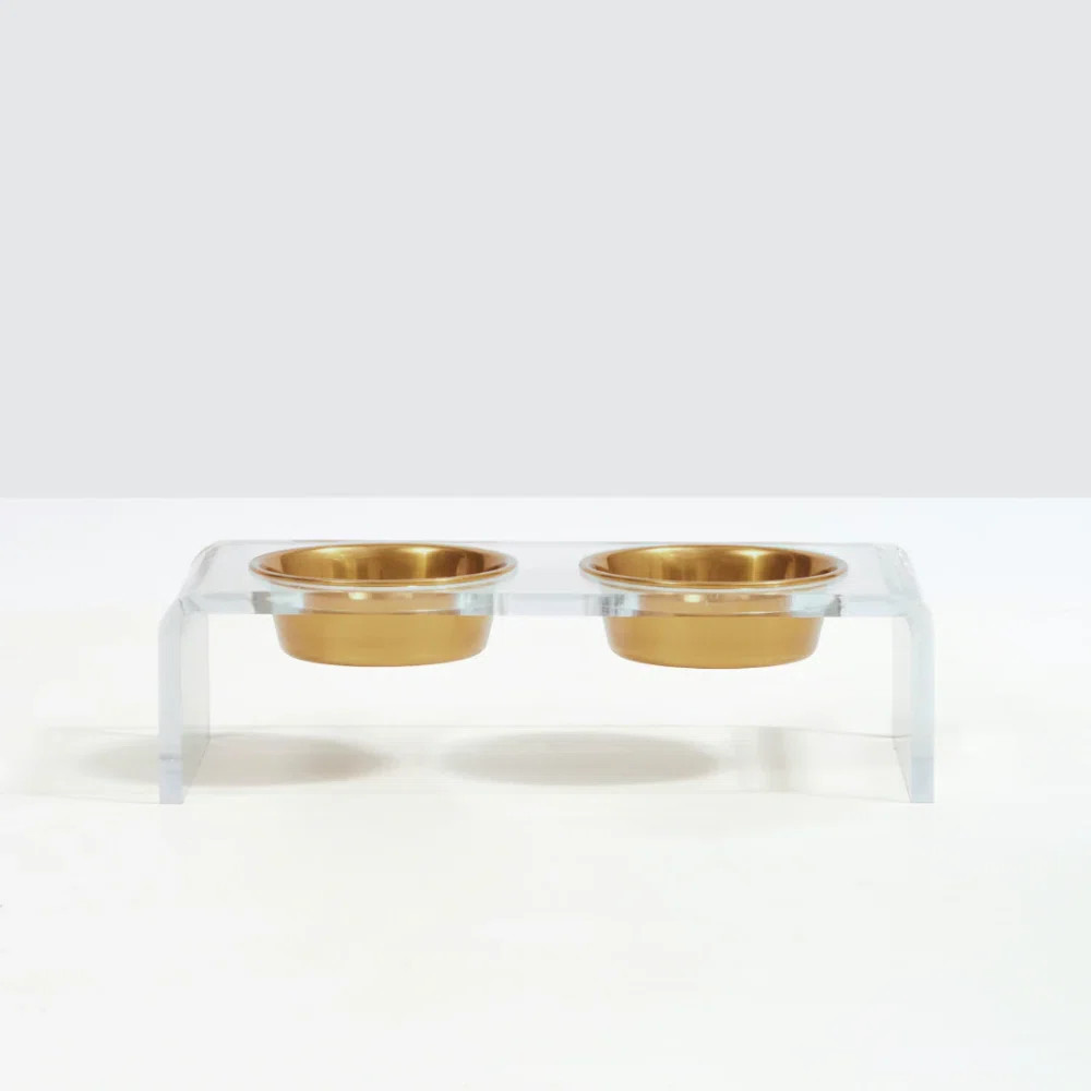 Small Clear Elevated Feeder with Gold Bowls | Wayfair North America