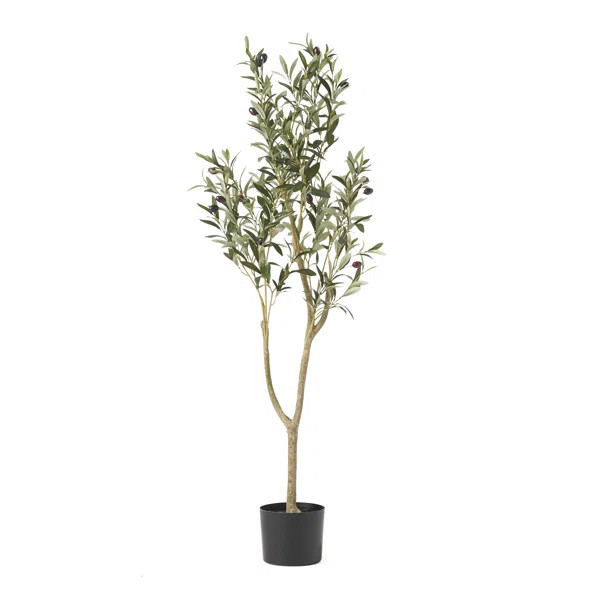 Aarav Artificial Olive Tree in Pot | Wayfair North America