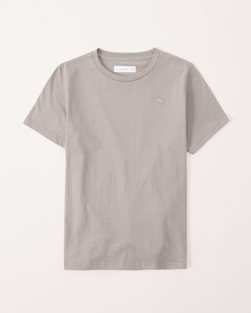 icon tee | Abercrombie & Fitch (US)