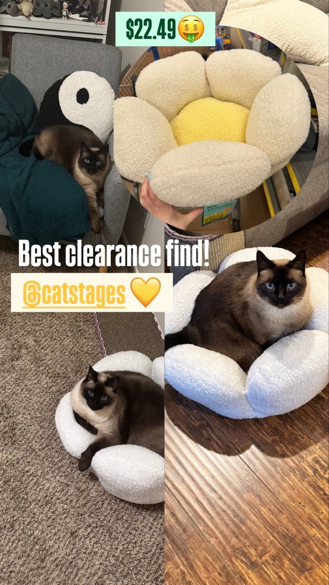 Cat Stages Cat Bed 🐱🌼💛 #catbed #ltkcats #ltkpets #cathouse #catnap

#LTKselfcare #LTKdayinmylife #LTKHome
