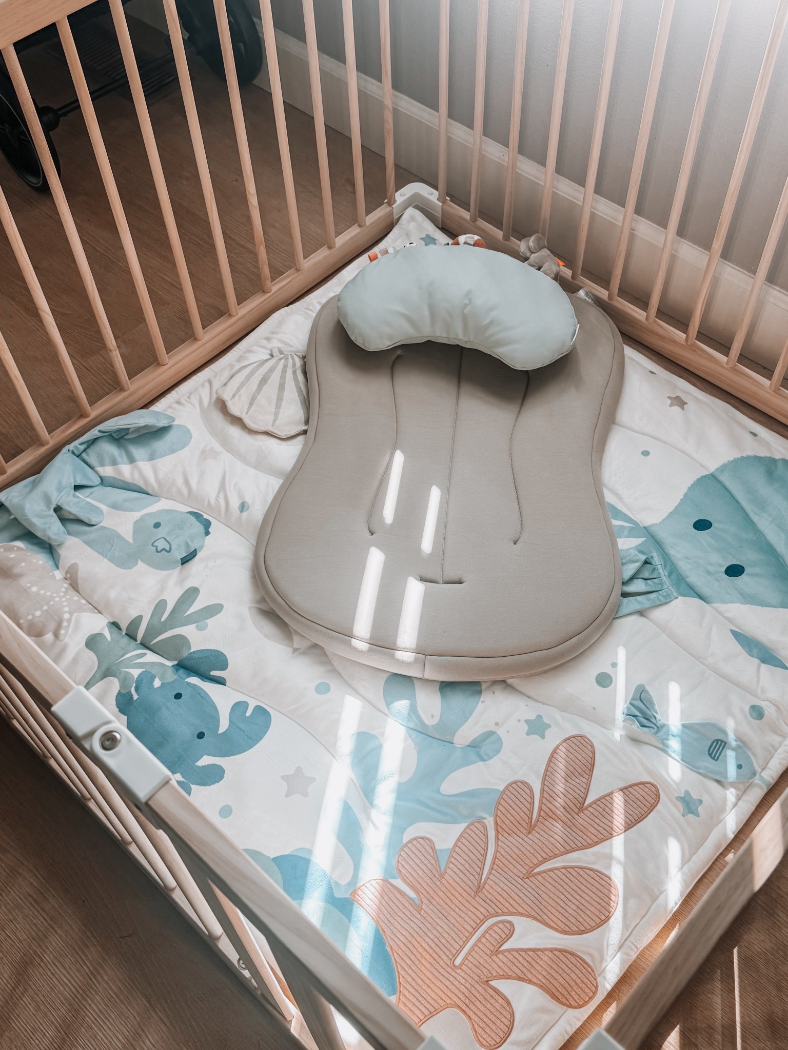 The playpen has been set up we got this Cloud Island Interactive Sensory Mat that fits perfectly for one playpen activity and a baby gym (not photographed here) 🍼 also got the Snuggle Me Lounger and a Tummy Time pillow to mix things up! 

#LTKBaby #LTKmomlife #LTKKids