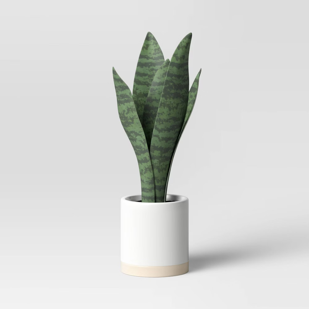 Small Snake Plant in Ceramic Pot White - Threshold | Target
