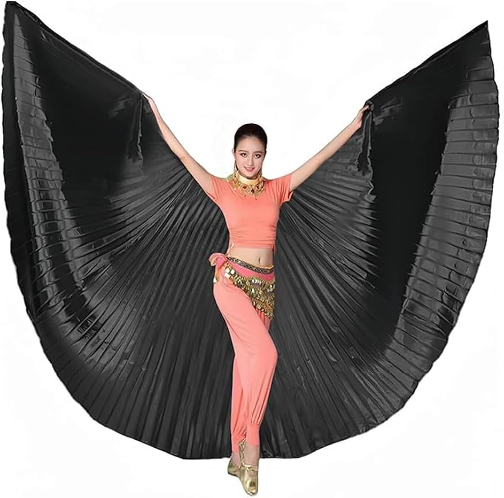 Nimiman Women Egyptian Professional Belly Dance Costume Wings with Sticks Angle Wing for Hallowee... | Amazon (US)