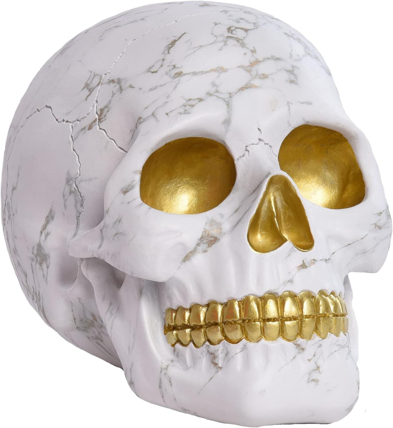 Saysmile Life Size Skull Decor, Resin Human Adult Skull Head Bone Model Statue, Skull Statue Coll... | Amazon (US)