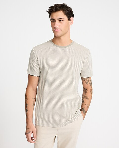 Striped Crew Neck T-Shirt | Express