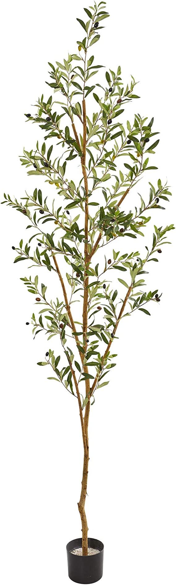 Amazon.com: Nearly Natural 82” Olive Artificial Silk Trees Green : Home & Kitchen | Amazon (US)