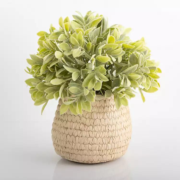 New! Potted Greenery Arrangement in Ceramic Vase | Kirkland's Home
