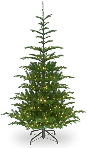 National Tree Company 'Feel Real' Pre-lit Artificial Christmas Tree | Includes Pre-strung White L... | Amazon (US)