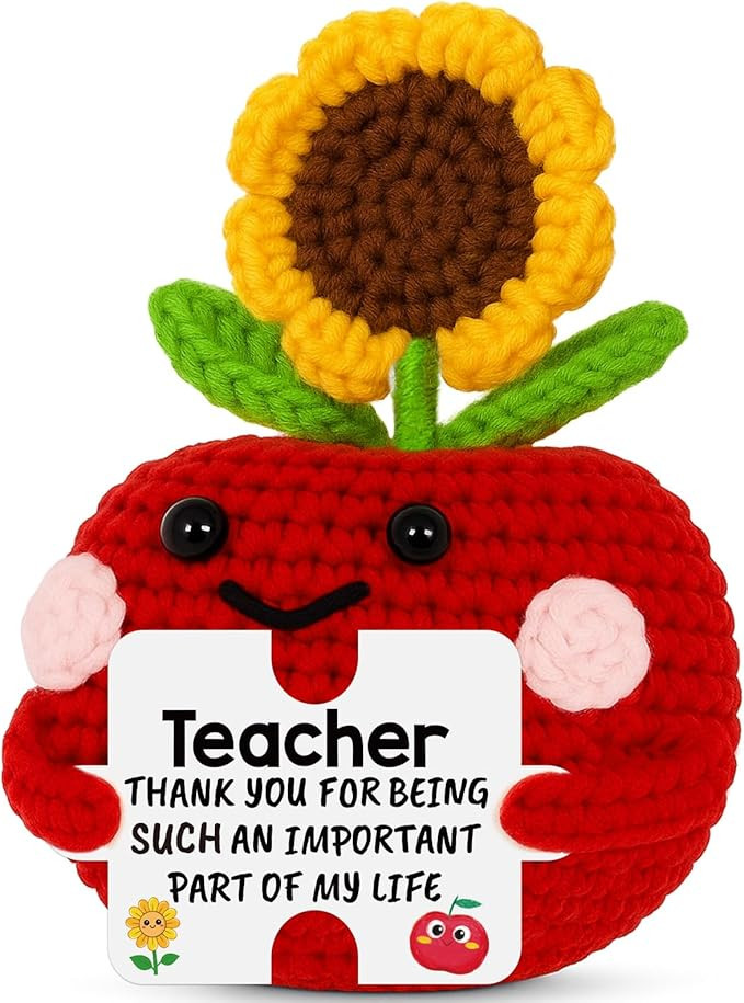 Teacher Appreciation Gifts for Women - Funny Crochet Apple Sunflower Thanksgiving Christmas Stock... | Amazon (US)