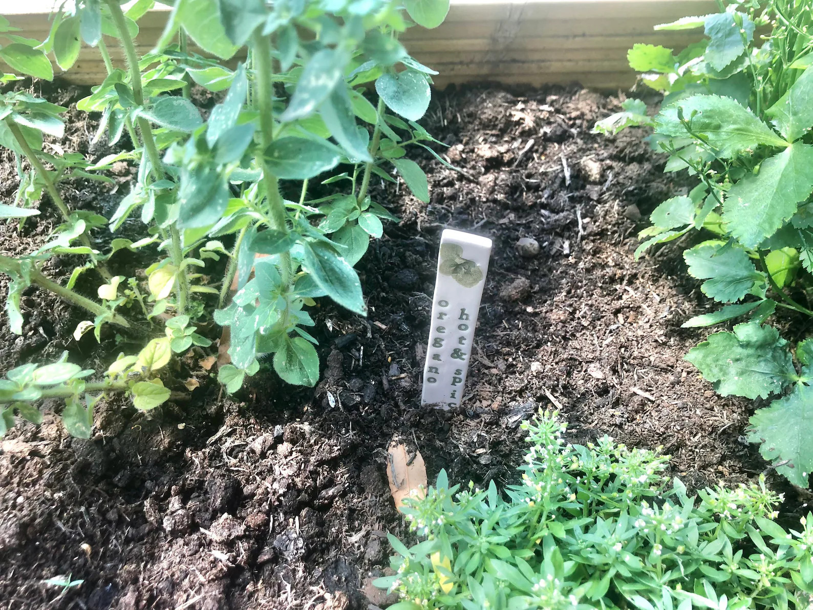 HERB Plant Marker, Pot Plant, Gift for Gardeners | Etsy (US)