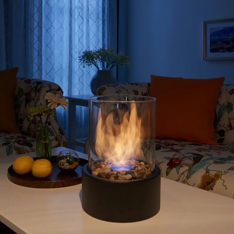 Bio-Ethanol Tabletop Fireplace with Flame Guard | Wayfair North America