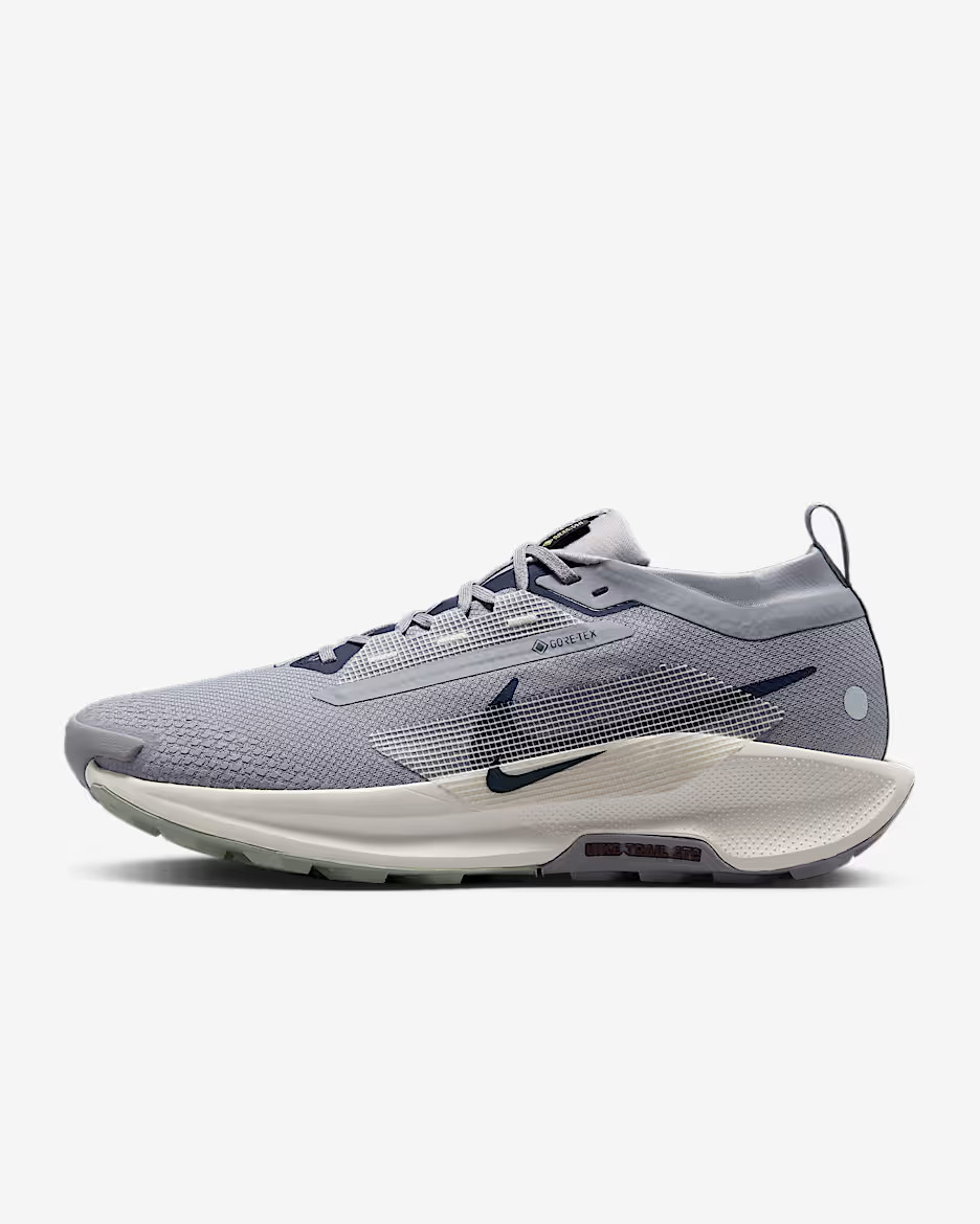Nike Pegasus Trail 5 GORE-TEX | Nike (US)