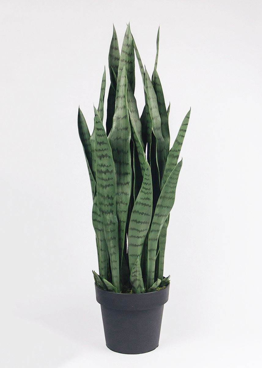 Faux Outdoor Snake Plant in Pot - 35" Tall | Afloral (US)