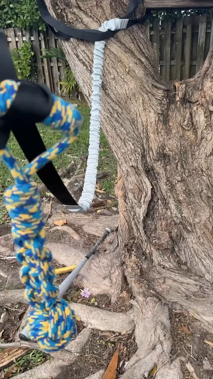 Interactive bungee tug toy for dogs, perfect for outdoor play. 

 #LTKWatchNow #LTKOver40 #LTKHome