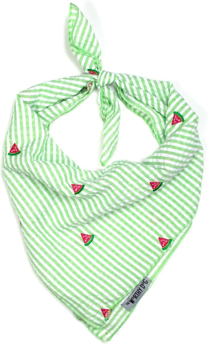 The Worthy Dog Green Stripe Watermelon Dog Bandana, Green/White, Small | Chewy.com