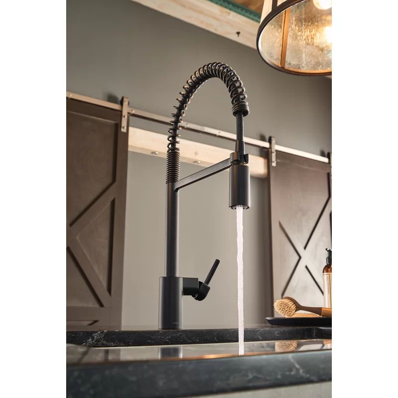 5923BL Align Pull Down Single Handle Kitchen Faucet | Wayfair Professional