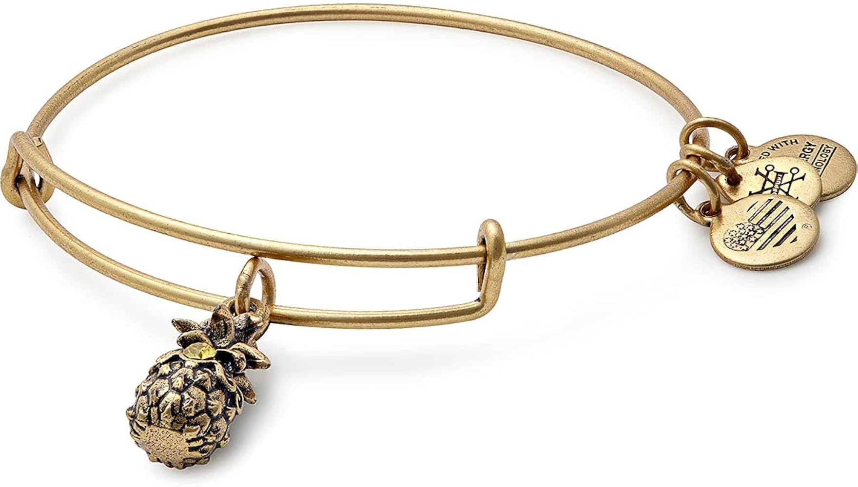Alex and Ani Path of Symbols Expandable Bangle for Women, Pineapple Charm, Rafaelian Finish, 2 to... | Amazon (US)