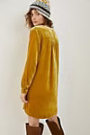 Melody Velvet Tunic Dress | Anthropologie (US)