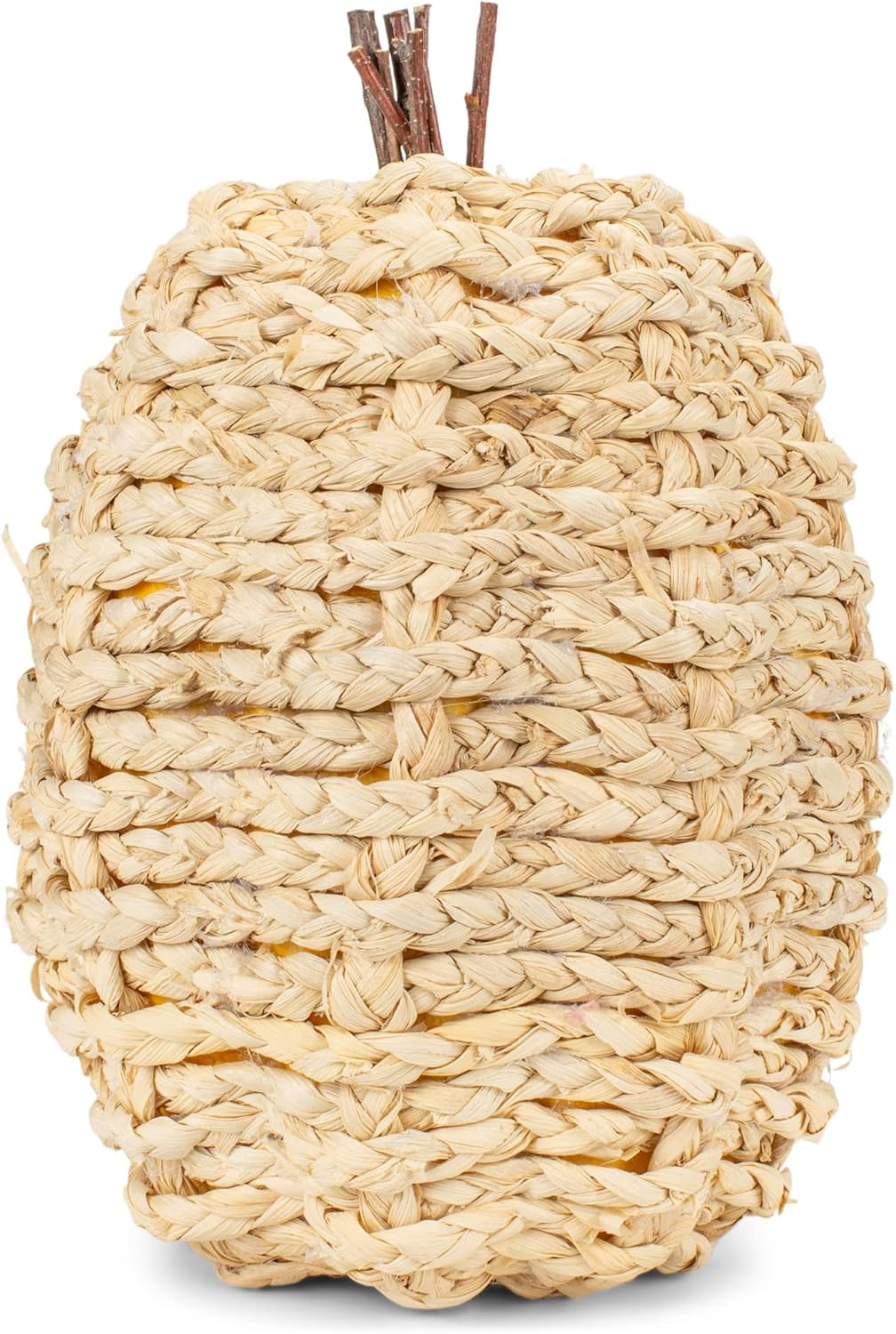 Napco Natural Brown Tall Pumpkin 10 x 6.5 Woven Corn Husk Tabletop Holiday Figurine | Amazon (US)