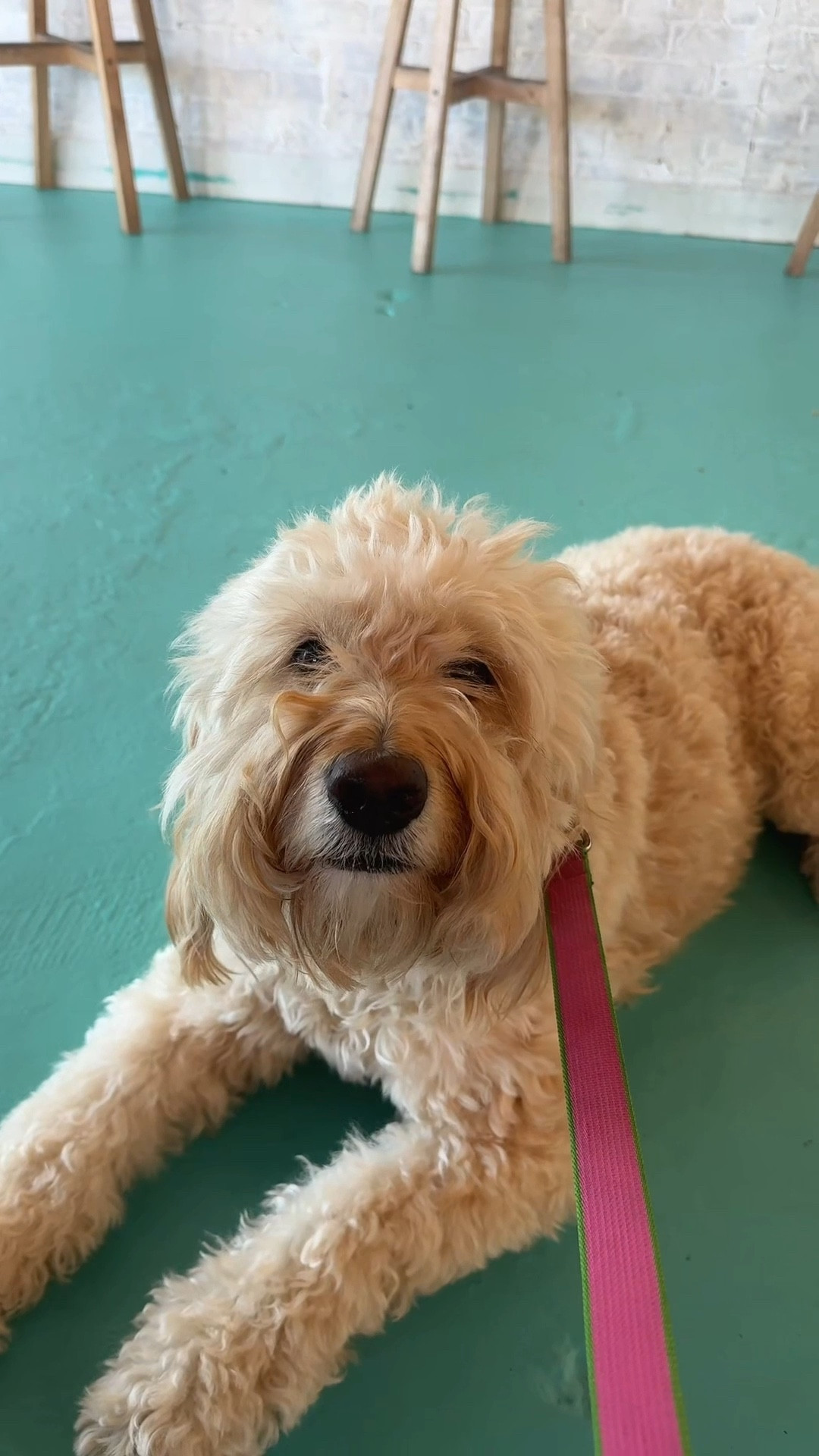 details from this morning vlog!!! 

#LTKdayinmylife #LTKgrwm #LTKmorningroutine