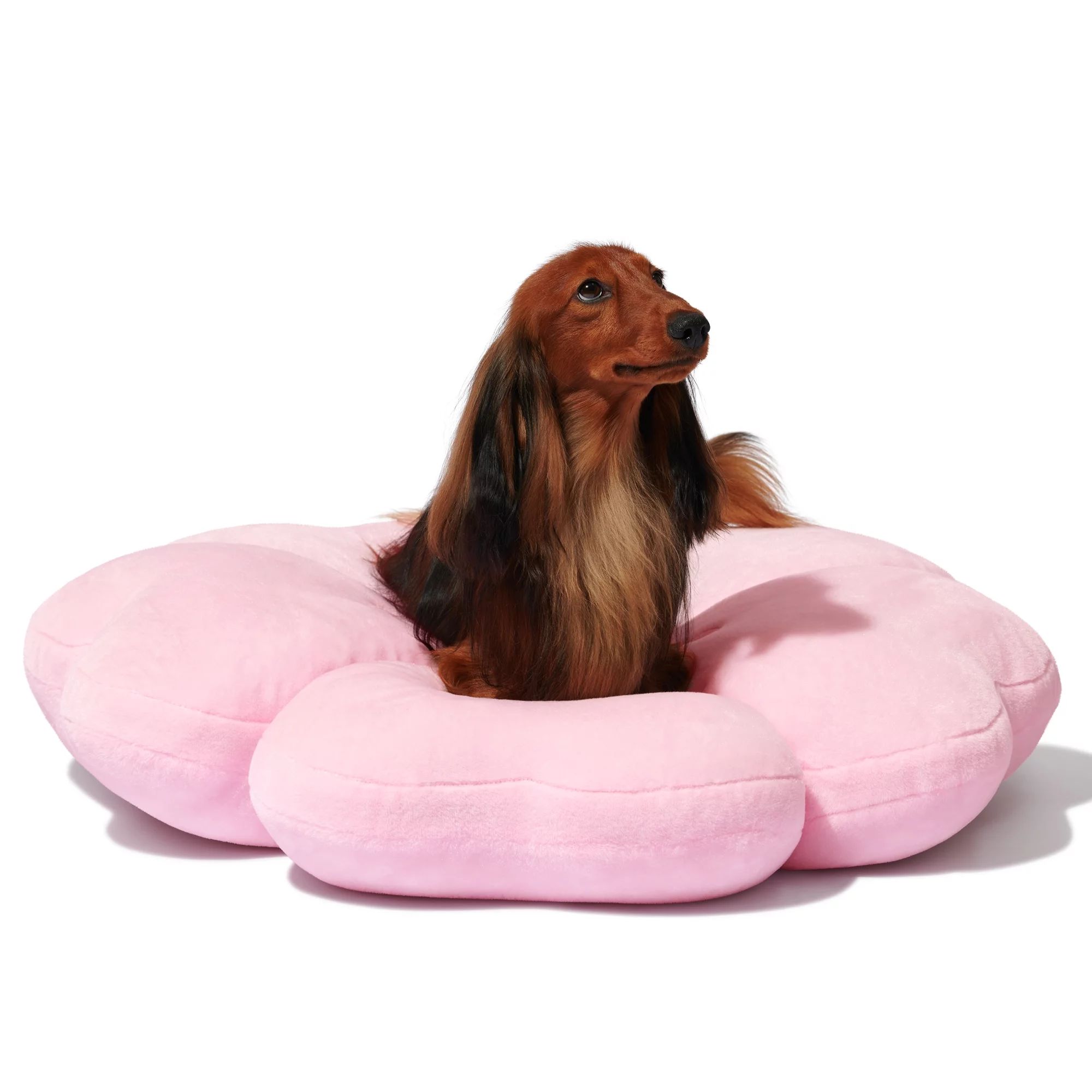 Reduced price Vetreska VETRESKA Dog Bed Cherry Blossom Deluxe Puppy Cat Bed Machine Washable Soft... | Walmart (US)