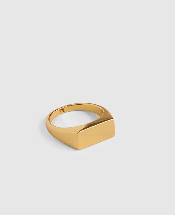 Long Signet Ring | Madewell | Madewell