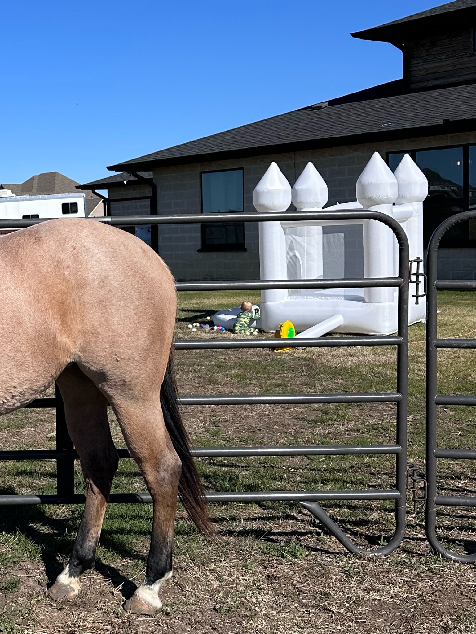 Bounce House perfect for your littles! Folds up easy and set up takes 30 seconds!