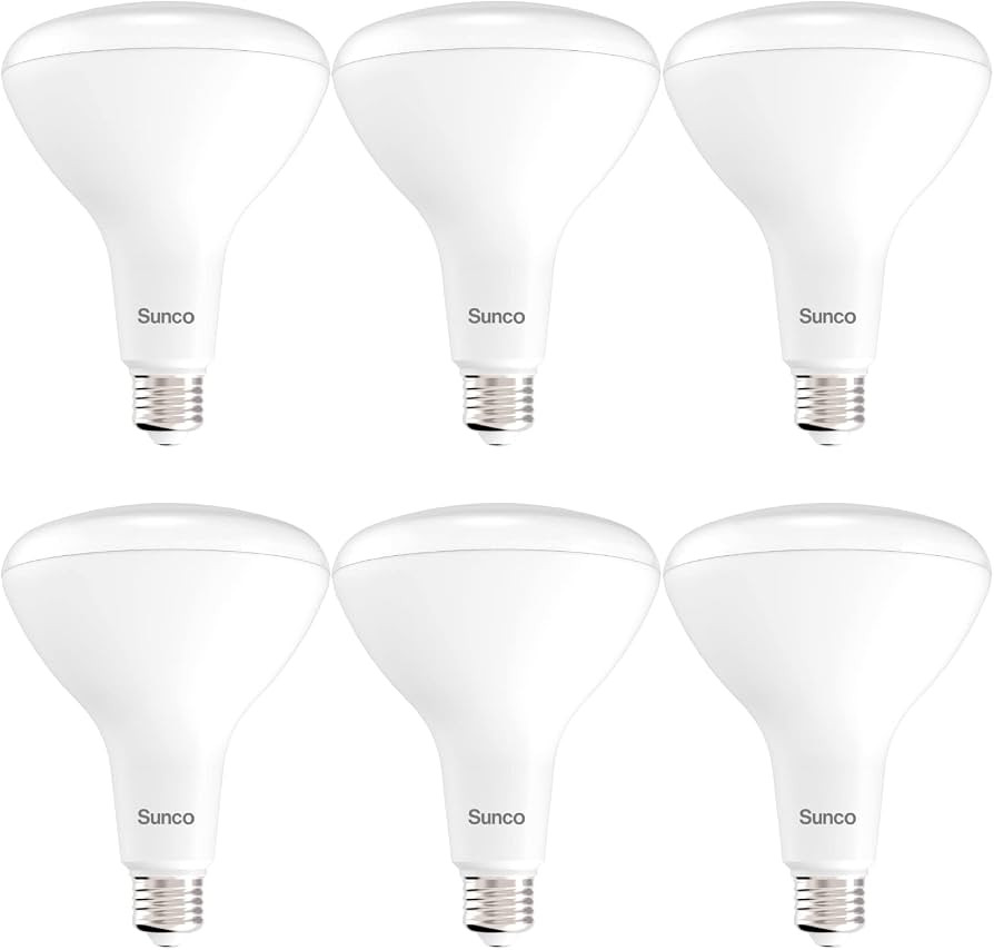 Sunco 6 Pack BR40 Light Bulb, LED Indoor Flood Light, Dimmable, 3000K Warm White, 1400 LM E26 Bas... | Amazon (US)
