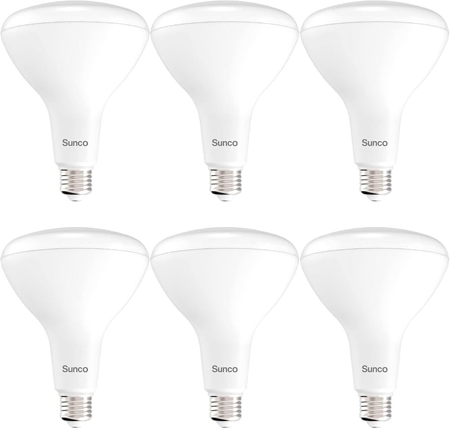 Sunco 6 Pack BR40 Light Bulb, LED Indoor Flood Light, Dimmable, 3000K Warm White, 1400 LM E26 Bas... | Amazon (US)