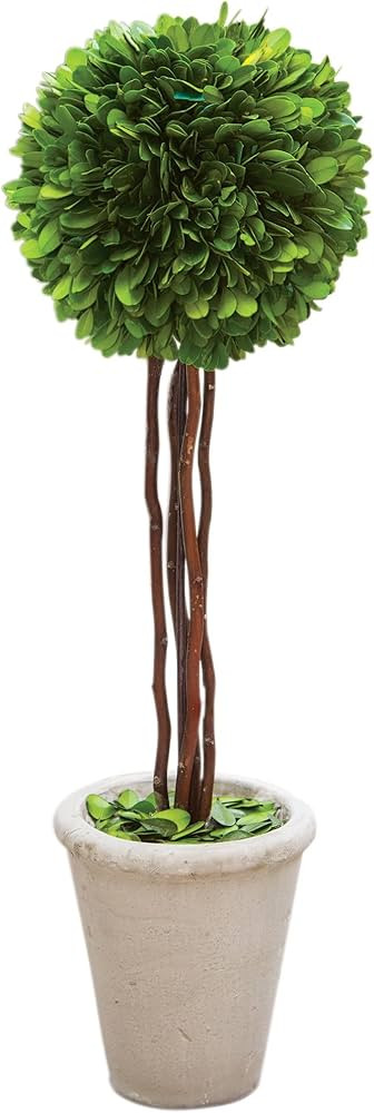 Craft House Designs Natural Preserved Boxwood Topiary, 20" High | Amazon (US)