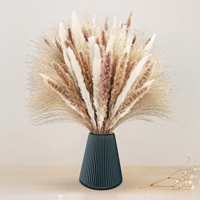 Dried Pampas Grass, 60 Pcs Natural Pampas Grass with 20 Pcs White Pampas & 20 Pcs Brown Pampas & ... | Amazon (US)