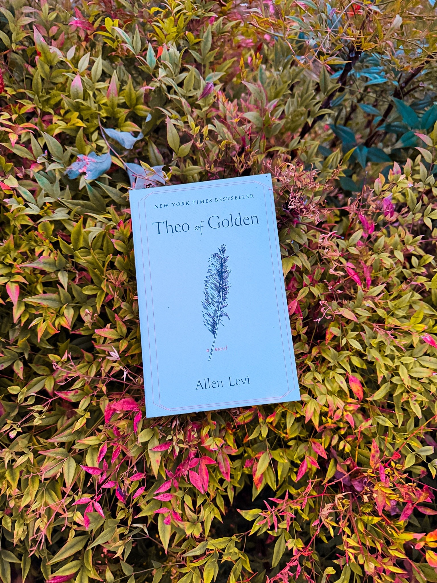 One spring morning, a stranger named Theo arrives in the small Southern city of Golden. He doesn’t explain much about where he came from or why he’s there—but when he visits the local coffeehouse, where pencil portraits of the people of Golden hang on the walls, he begins purchasing them, one at a time, and giving each portrait to the person depicted. In exchange, he asks only for the person’s story. And so portrait by portrait, person by person, secrets are revealed, regrets are shared, and ordinary lives are profoundly altered.

A story of giving and receiving, of seeing and being seen, Theo of Golden is an unforgettable novel about the power of generosity, the importance of connection, and the quiet miracles that happen when we choose kindness and wonder.

#LTKmomlife #LTKstorytime #LTKdayinmylife