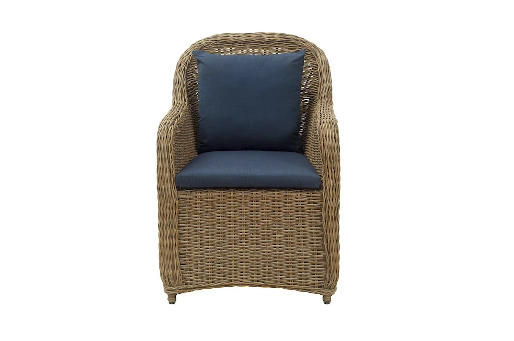 Rosecliff Heights Alberta Dining Armchair | Wayfair | Wayfair North America