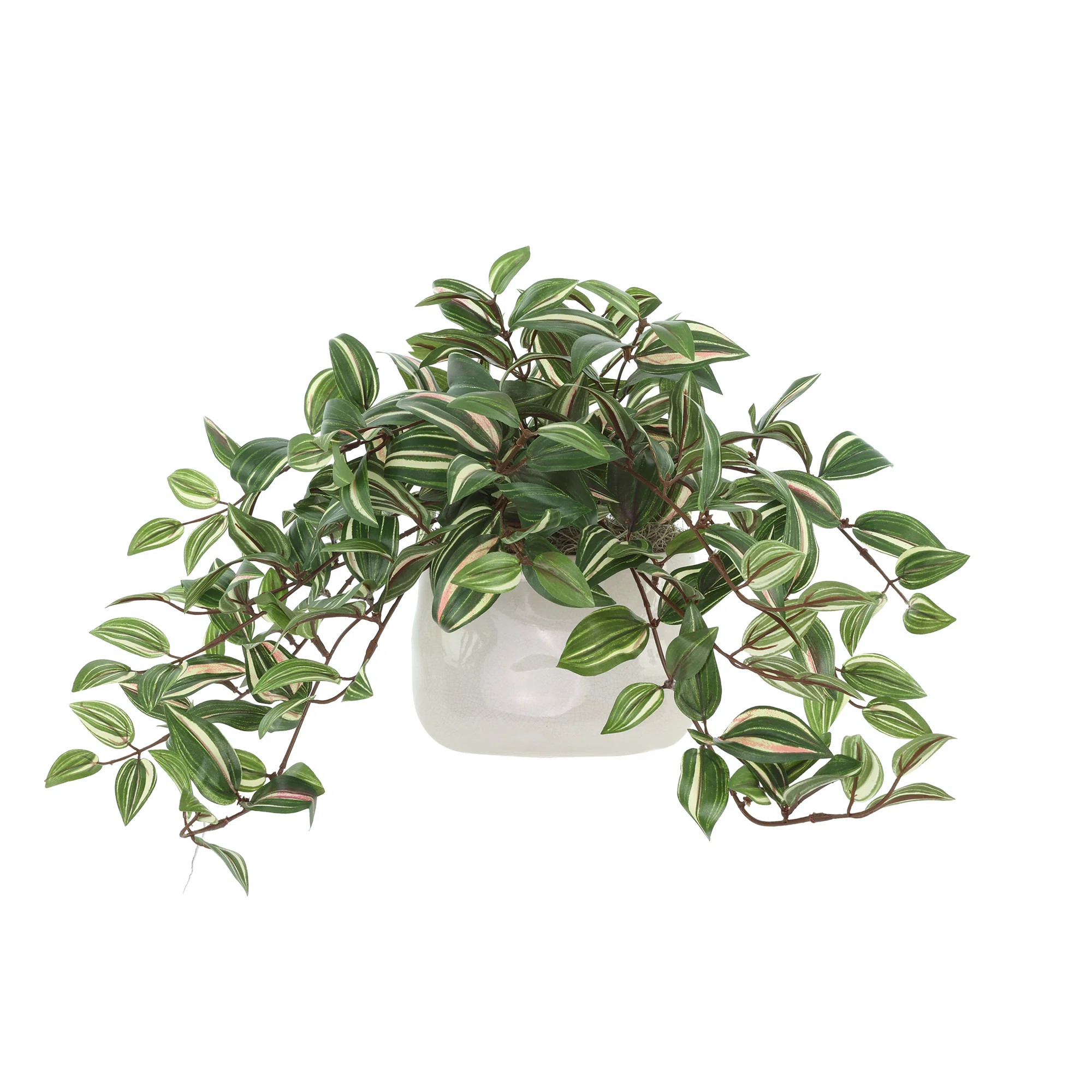 Karas Faux Tradescantia Plant in Ceramic Vase | Joss & Main