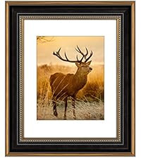 AUEAR,16x20 Picture Frame for 11x14 Photo With Mat or 16x20 Prints Without Mat,Vintage Style,Wall... | Amazon (US)