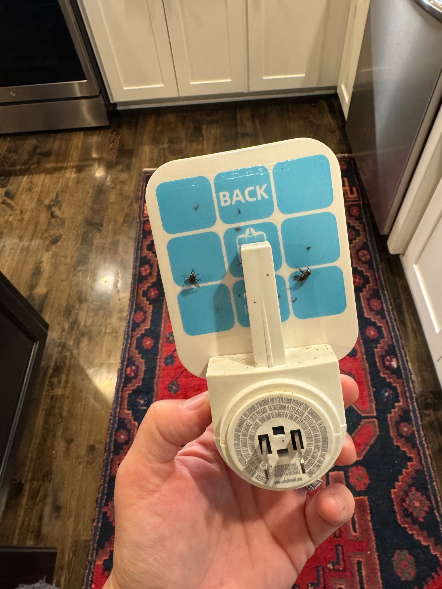 Indoor sticky Bug catcher 

#LTKHome