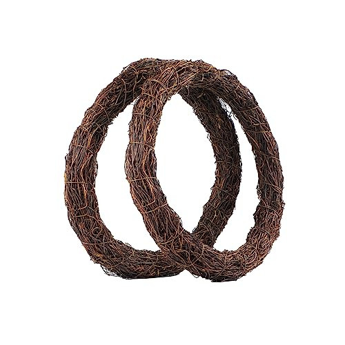 Temfmy Natural Grapevine Wreath for Crafts - 14 Inch Round Rattan Twig Wreath Base - DIY Wreaths Making Supplies for Decor - 2 Pack | Amazon (US)