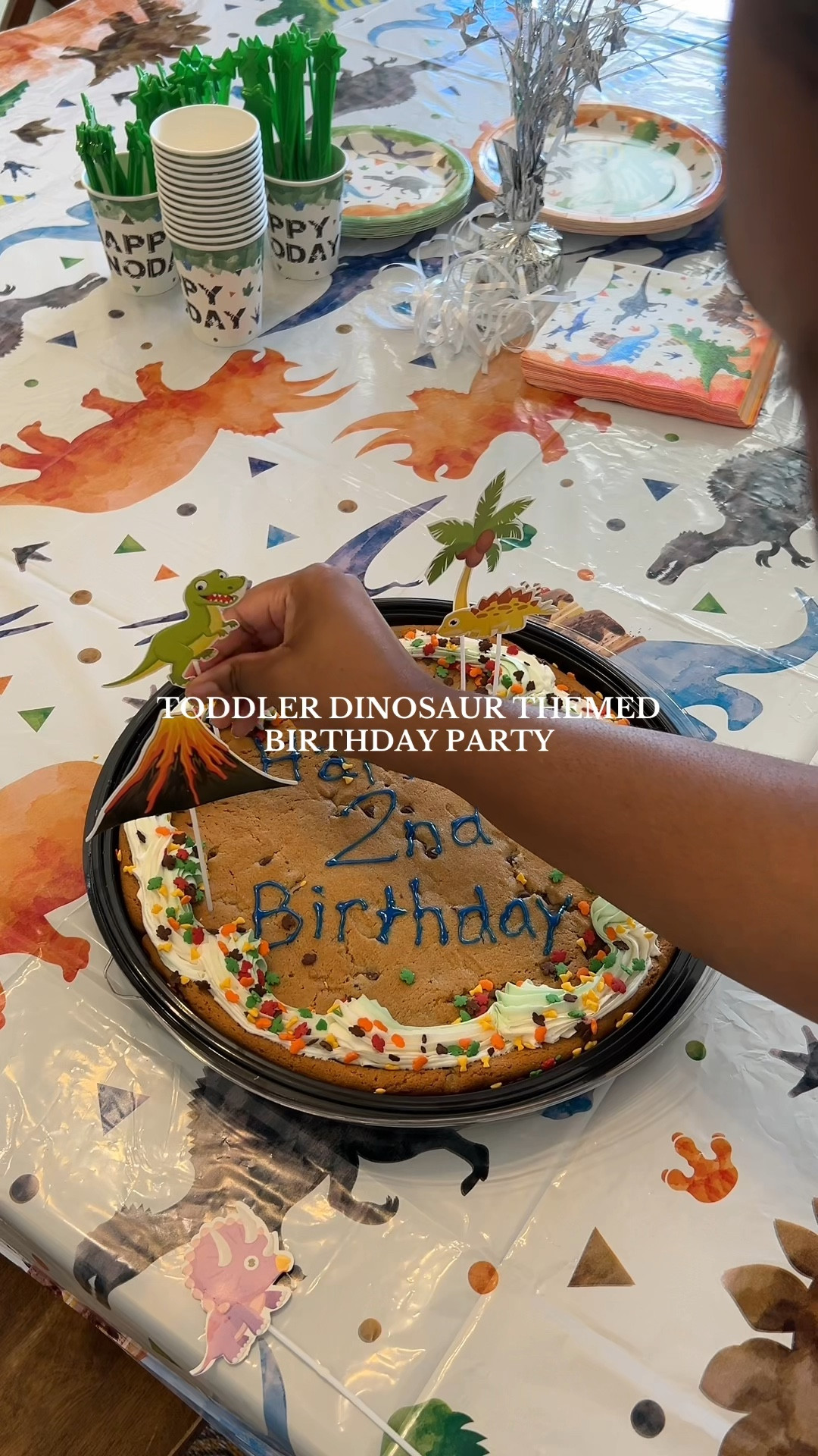 Toddler Dinosaur Themed Birthday Party🥳🦖🎂🦕💙 #birthdayparty #toddlerbirthday #2ndbirthday #dinosaurthemed #birthdaysurprise

#LTKBaby #LTKKids #LTKFamily