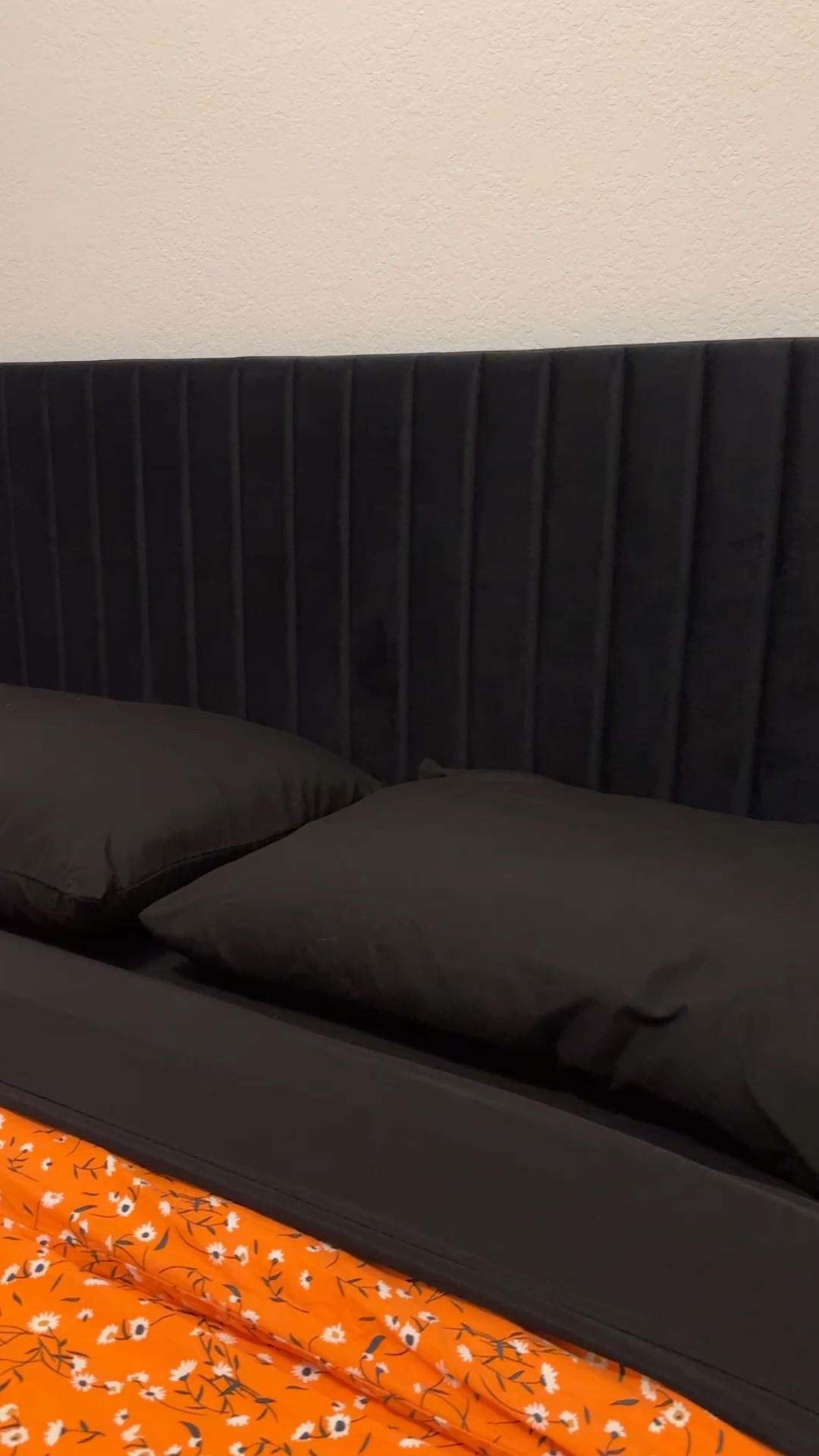 This was a subconscious accident… i may be excited for Halloween. The bed is on SALE!

Amazon home finds, Amazon furniture, prime day, mattress, furniture, bed frame, black bed, velvet bed, best mattress, queen bed

#LTKSeasonal #LTKSummerSales #LTKHome