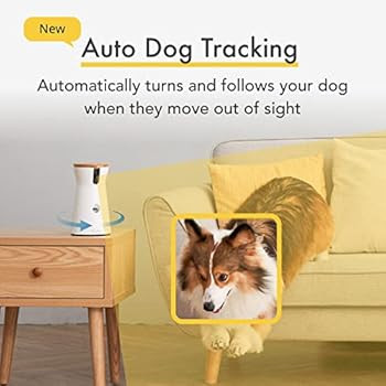 Furbo 360° Dog Camera: [New 2022] Rotating 360° View Wide-Angle Pet Camera with Treat Tossing, ... | Amazon (US)