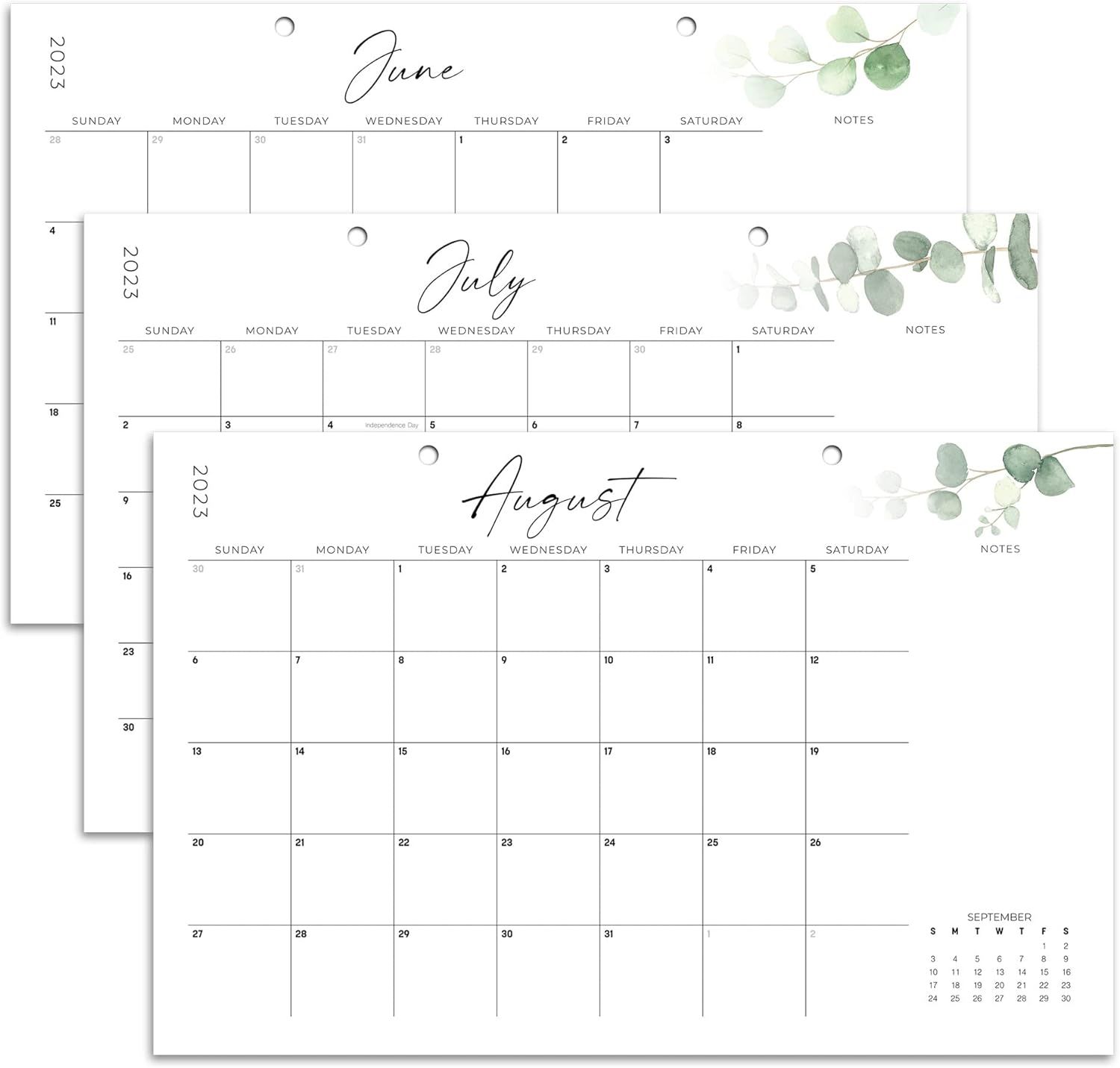 Aesthetic Modern Greenery Desk Calendar - Runs Until July 2024-17"x11" Desktop/Wall Calendar for ... | Amazon (US)