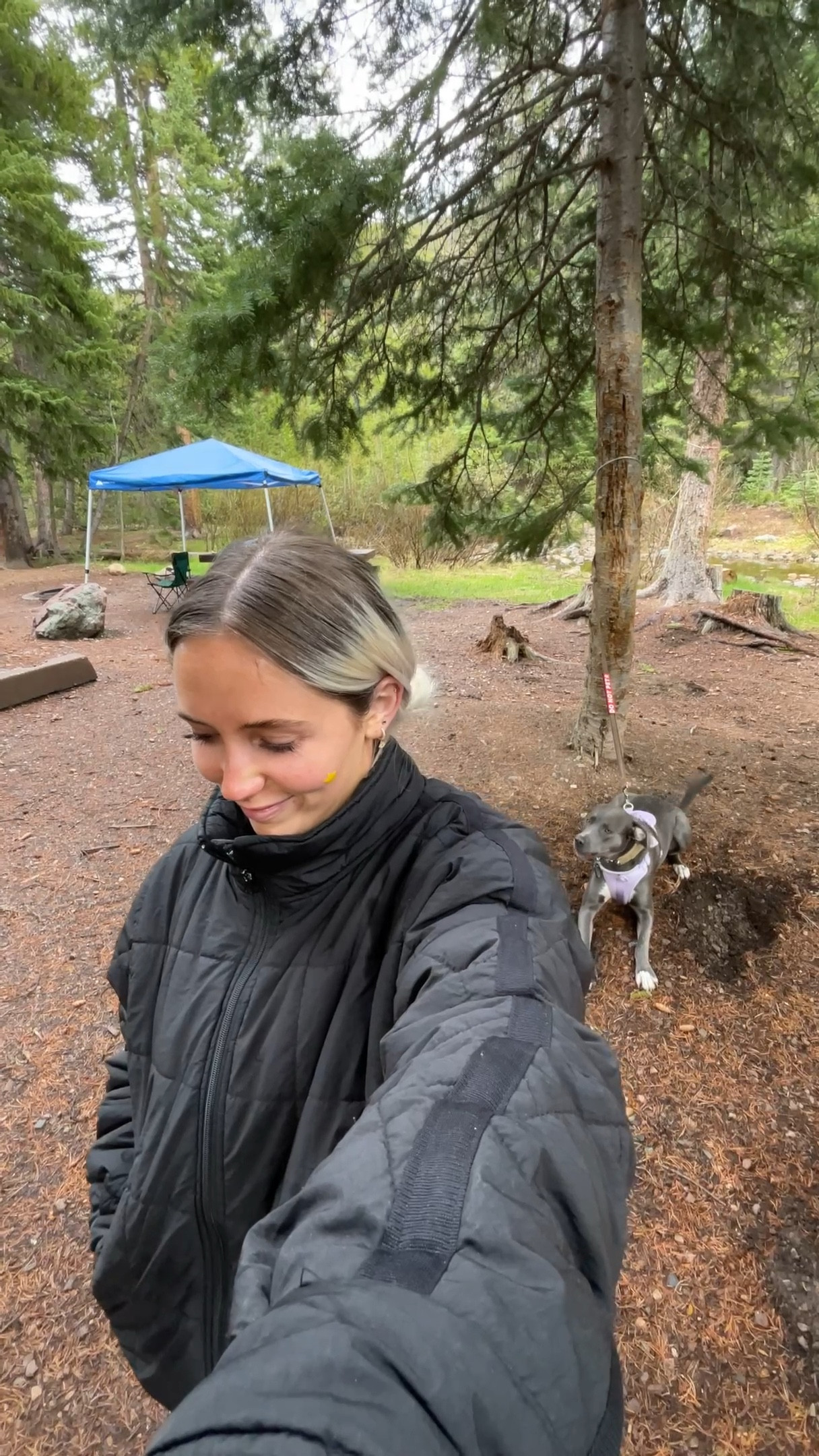  links to items we used on our camping trip! #campingvlog #campingwithadog 

#LTKtravel #LTKfamily