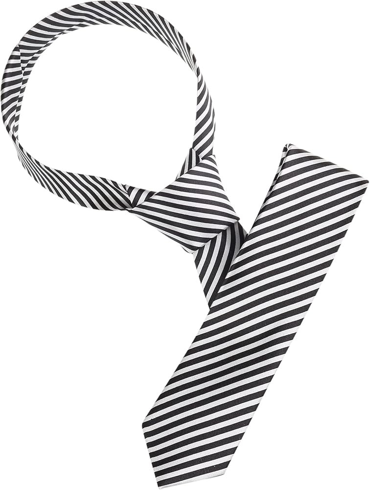 Allegra K Men's Stripe Classic Self-Tied Necktie Skinny Tie Slim Ties for Business Casual | Amazon (US)