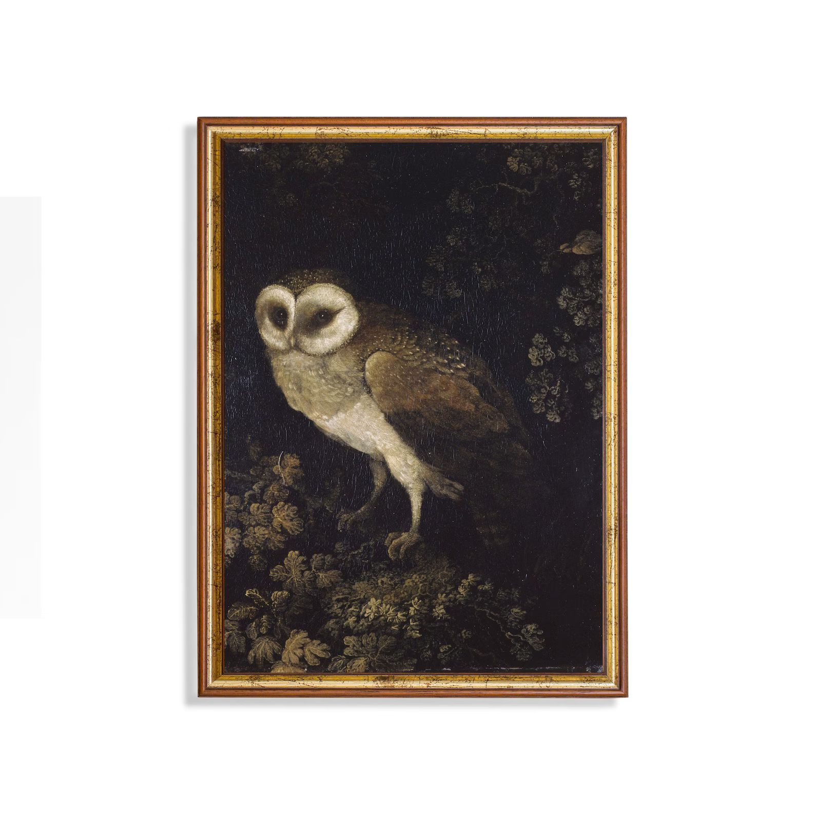Mailed Print Vintage Owl Painting Antique Dark Academia - Etsy Canada | Etsy (CAD)