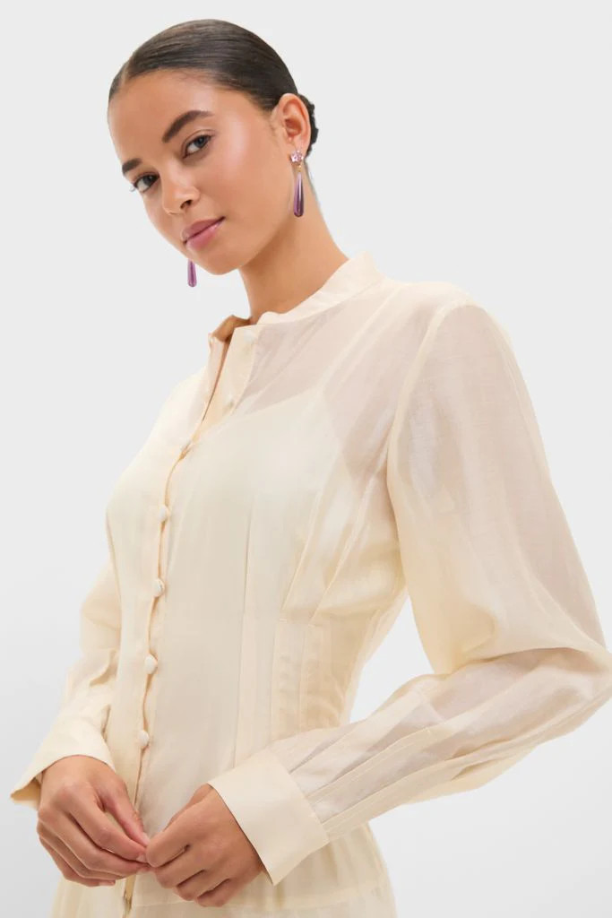 Champagne Organza Marbella Dress | Tuckernuck (US)