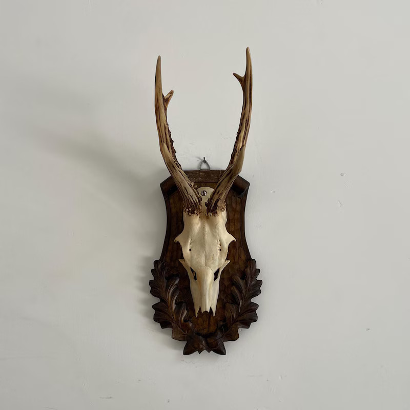 View Vintage Antlers by TheBullsManor on Etsy | Etsy (US)